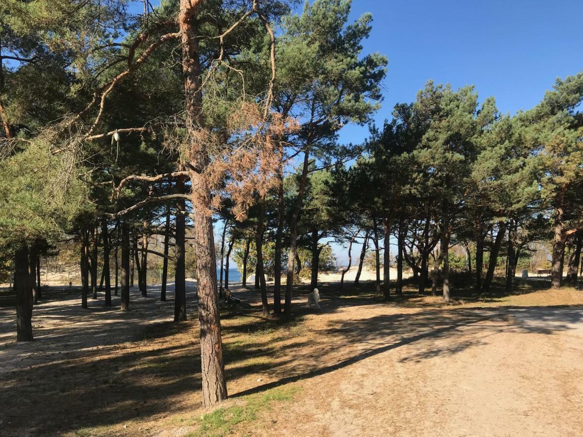 Niebieskie Apartamenty Rowy Apartament 13 Z Klimatyzacja 100 M Do Plazy Dawniej Blue Marine Экстерьер фото